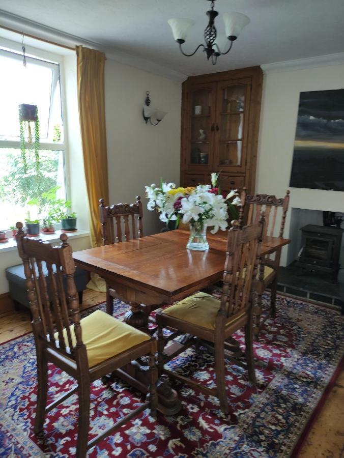 Adail Cottage Aberystwyth Extérieur photo
