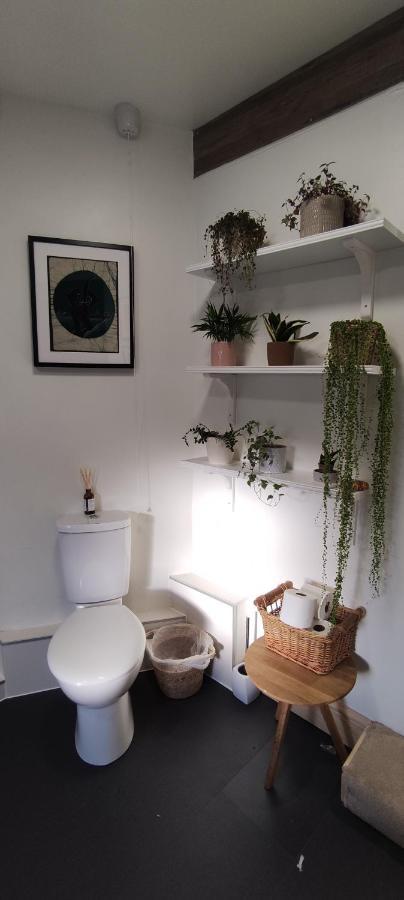 Adail Cottage Aberystwyth Extérieur photo